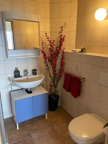 Studio Der Alpen Thun Ngoại thất bức ảnh